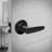 Delavan Keyed Entry Door Lever-79408061