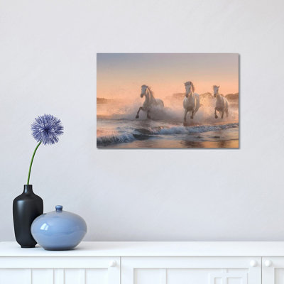 White Angels Of Camargue VI by Daniel Kordan - Print on Canvas