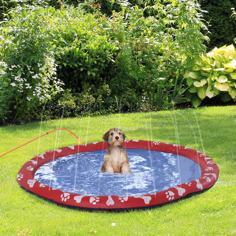 8cm Plastic Dog Pool, 1cm H x 150cm W x 150cm D