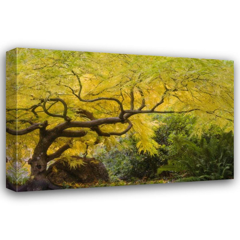 Art sur toile tendue, Astoria Grand Paulson, Don, Oregon, Ashland Lithia Park, H 17 po x l 24 po