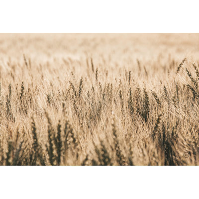 «Dakota Wheat Fields» par Nathan Larson - peinture sur toile tendue