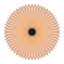Flush Mount