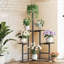 Alarni Plant Stand 6 Tier