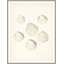 Shore's Treasure 1 Print by Studio L57 Nouvelle-354499387