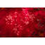 1920s Antique Fuschia Asymmetrical Floral Handknotted Wool Chinese Art Deco Rug