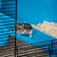 Hamster Cage