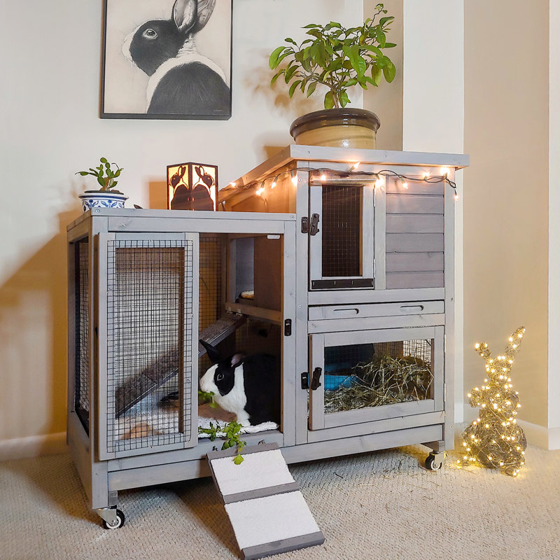 Weather Resistant Hutch with Ramp, Grey