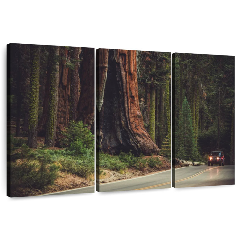 Harnek Sequoia Lined Highway, 28" H x 45" W