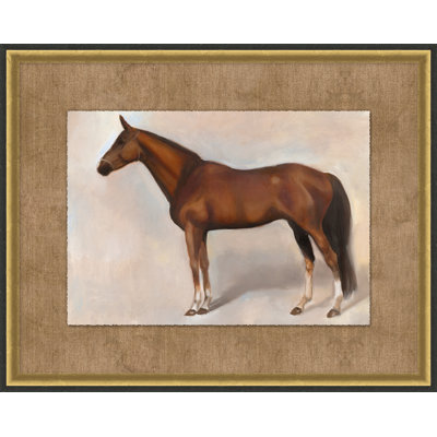 Equine Pose 1
