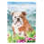 Bouledogue (brun/blanc)