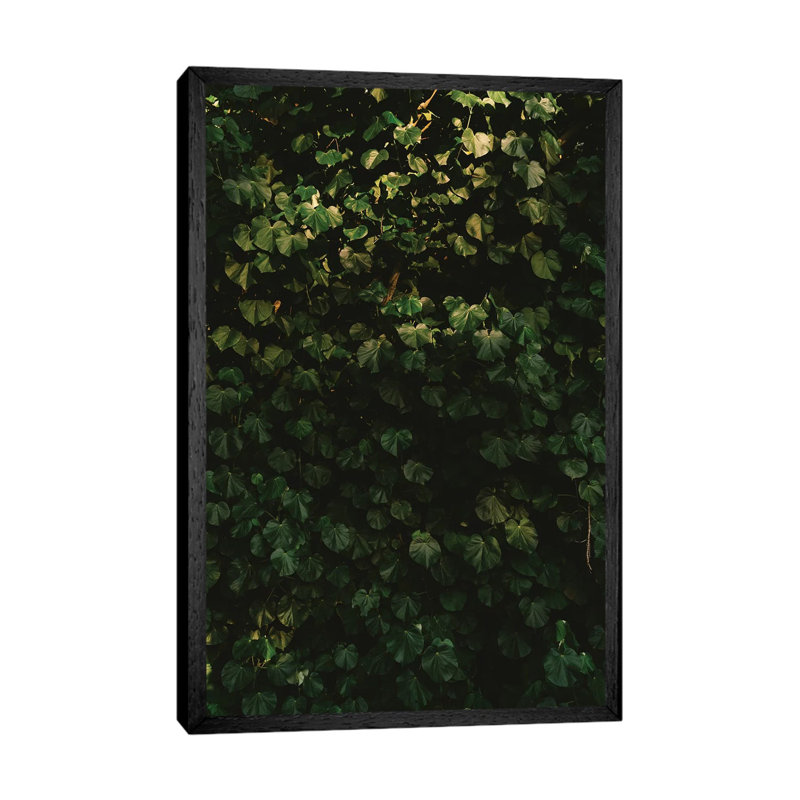 Hawaiian Hearts by Bethany Young - Print on Canvas, 101.6cm H x 66.04cm W x 3.81cm D, Black Framed