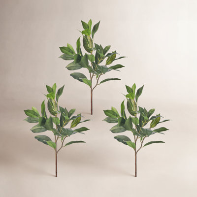 Lemon Leaf Stems