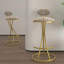 Ensemble de 2 chaises d'appoint rondes rembourrées-118090833