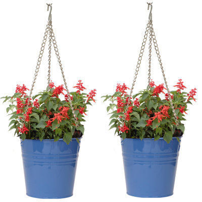 Arnkell Metal Hanging Planter