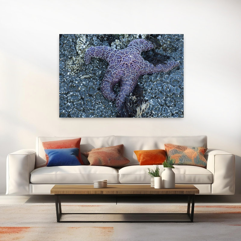 Elevated View Of Starfish Haystack Rock Cannon Beach Samuel H. Boardman State Scenic Corridor Pacific Northwest Oregon USA by Dan Merkel - Wrapped Canvas Print