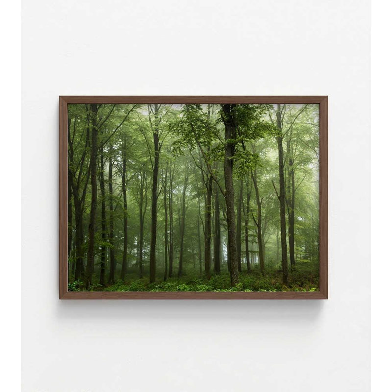 «Foggy Forest», art danois (encadré), H 36 po x l 48 po, Impression encadrée sans passe-partout, Brun