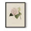 Imprimé floral rétro CXCI - impression encadrée-1467021579-1467021577