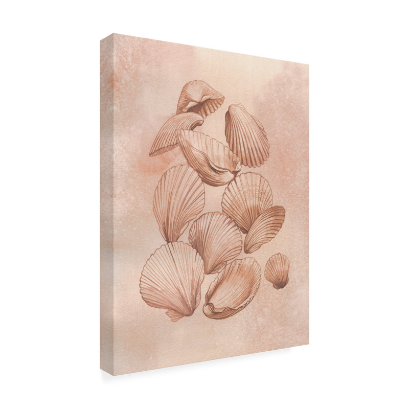 Art mural sur toile tendue - Décoration murale «Saltwater Shell Study I» Grace Popp pour le salon, la chambre à coucher ou le bureau - 14 x 19