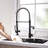 FLG Pull Down Kitchen Faucet-1167592618