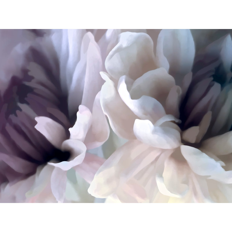 «Raeshaun Chrysanthemum X On Canvas» par David Pollard, reproduction, H 36 po x l 48 po