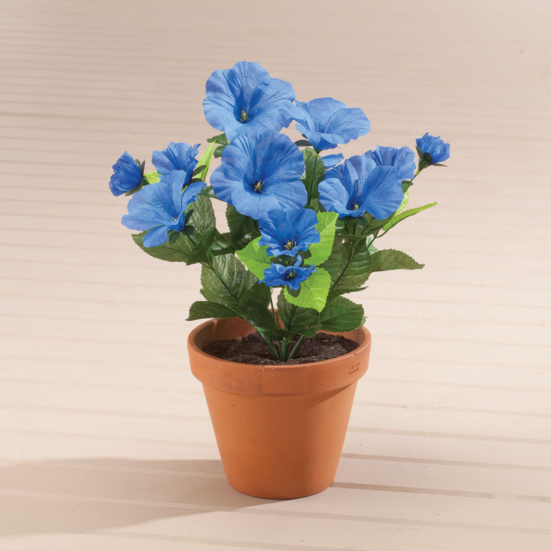 OakRidge Petunia Bush, Indigo