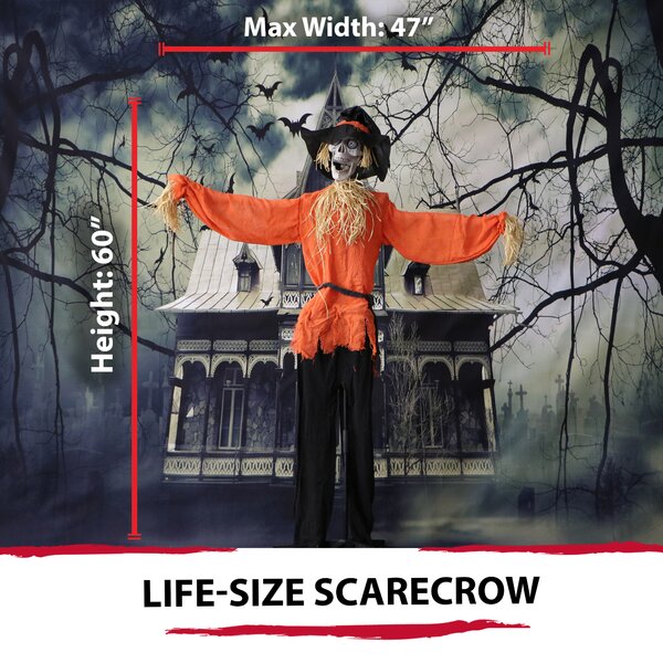 The Holiday Aisle® Skeleton Scarecrow Prop with Rotating Head Figurine ...