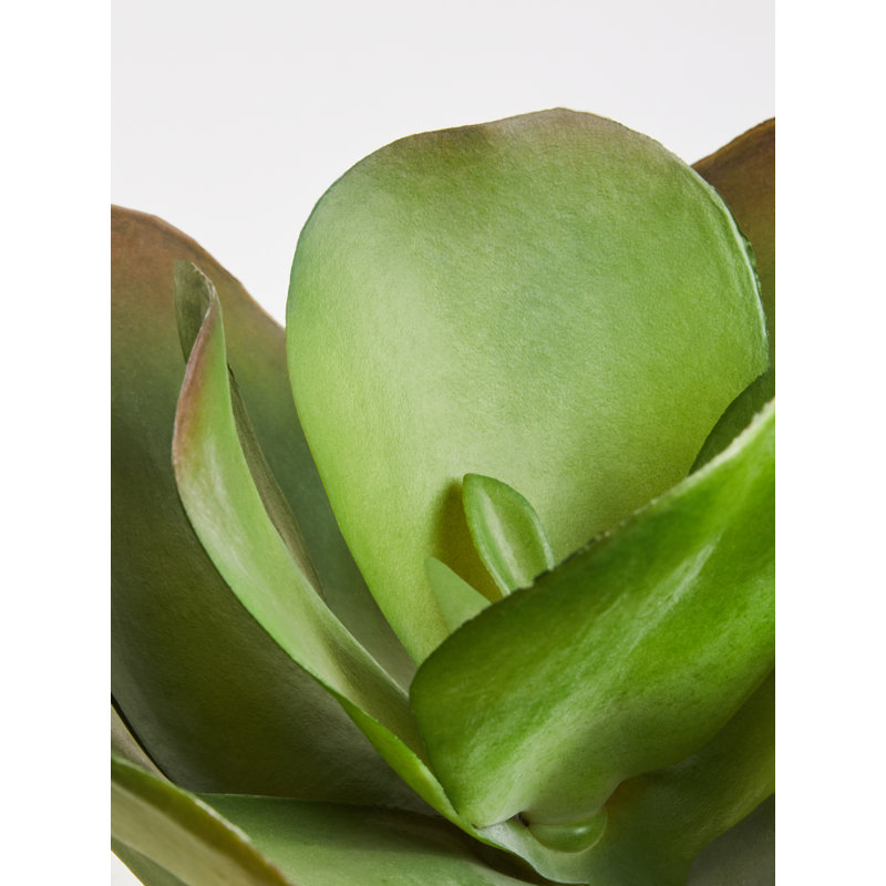 24cm Faux Succulent Plant in Concrete Pot