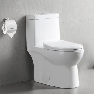 Ally Dual-Flush Elongated One-Piece Toilet with Glazed Surface Modern Toilet with Comfort Seat Height  (Seat Included)