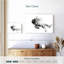 Cheval noir et blanc Brampt-108880798