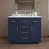 Brushed Nickel selected
