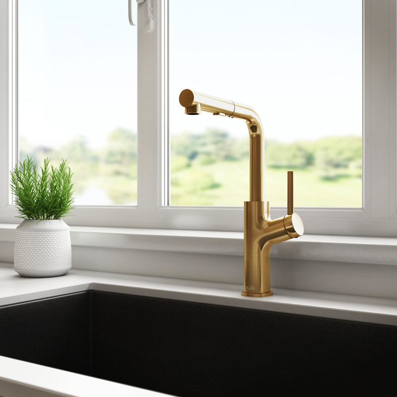 Kalia Masimo Surfer Pull Out Kitchen Faucet, Brushed Gold