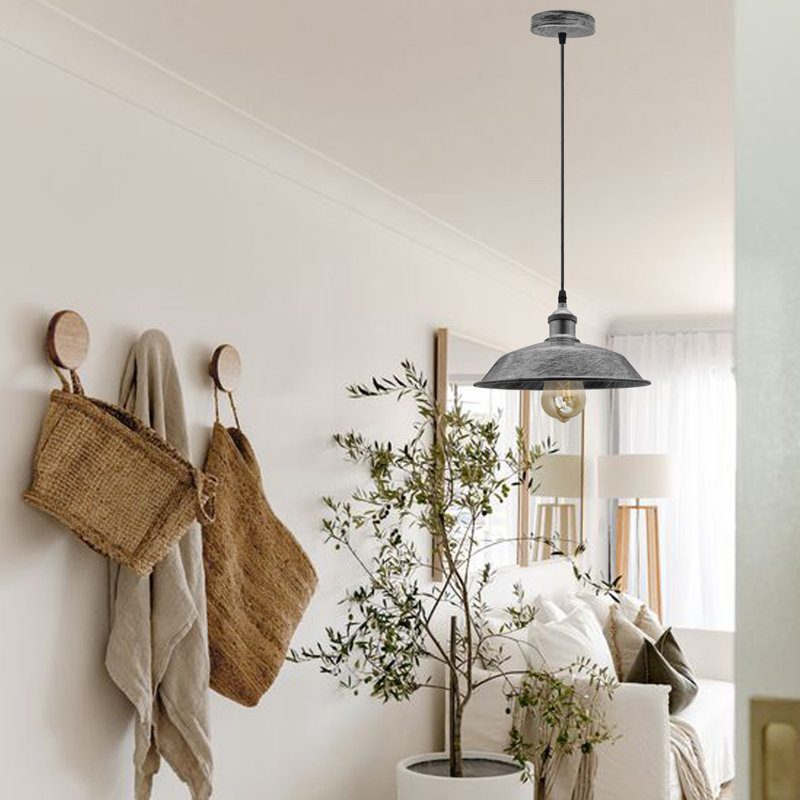 1 - Light Single Pendant, Brushed Silver