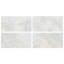 Jewel Onyx 24X48 Polished Porcelain Tile-1518693303