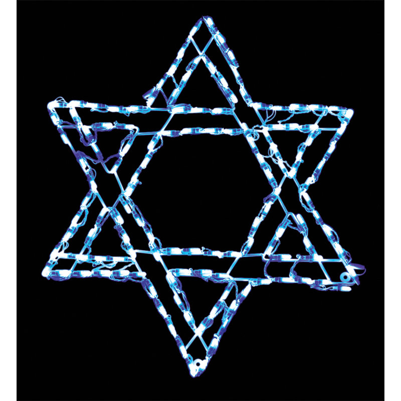 Star of David LED Display (32")