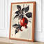 Pomegranate Branch Japandi - Wrapped Canvas-510215221-510215229