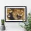 Two Lions - Framed Print-62792960-62792963