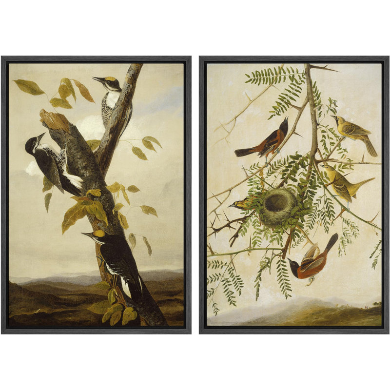 Illustration d'oiseau classique de la collection aviaire classique, Noir, H 24 po x l 16 po