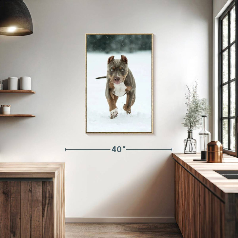 Pit Bull On Snow, Floating Frame Natural Wood, 25" x 37"