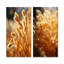 Golden Meadow Grass - ensemble de 2 reproductions d'art sur prairie-102578644-102578646