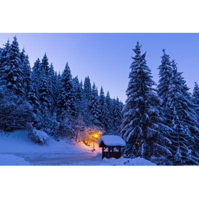 Morning Fresh Powder by Dennisvdw - Wrapped Canvas Print