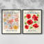 Ensemble de 2 estampes Vintage Floral Giclee - ensemble de 2-894865856-894865858