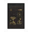 « astronomie chart ii », impression sur toile tendue-20146245-72577325-72577326