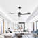Breeleigh 52 "DC Ceiling Fan with Remote, Indoor Ceiling Fan, 3 ABS Blades