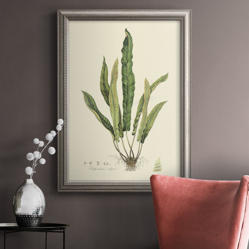«Curtis Ferns IV», reproduction sur toile encadrée, H 20 po x l 16 po x P 2,5 po