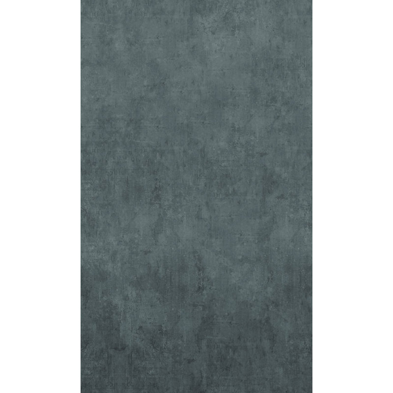 Rouleau de papier peint L 33 pi x l 21 po, Gris / argenté