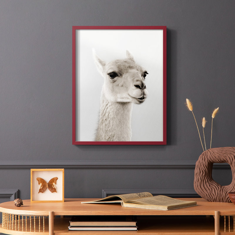 Reproduction encadrée de lama doux - bois massif, Rouge, H 10 po x l 8 po