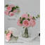 Plante de 13 po-103117142