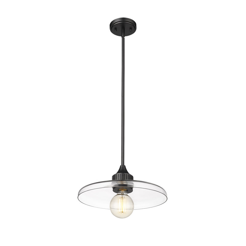 Luminaire suspendu géométrique unique à 1 lumière Jamyla, H 6,25 po x l 14 po x P 14 po, Transparent, Noir mat