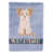 Beige Morkie