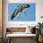 Crowle Pelican In The Air